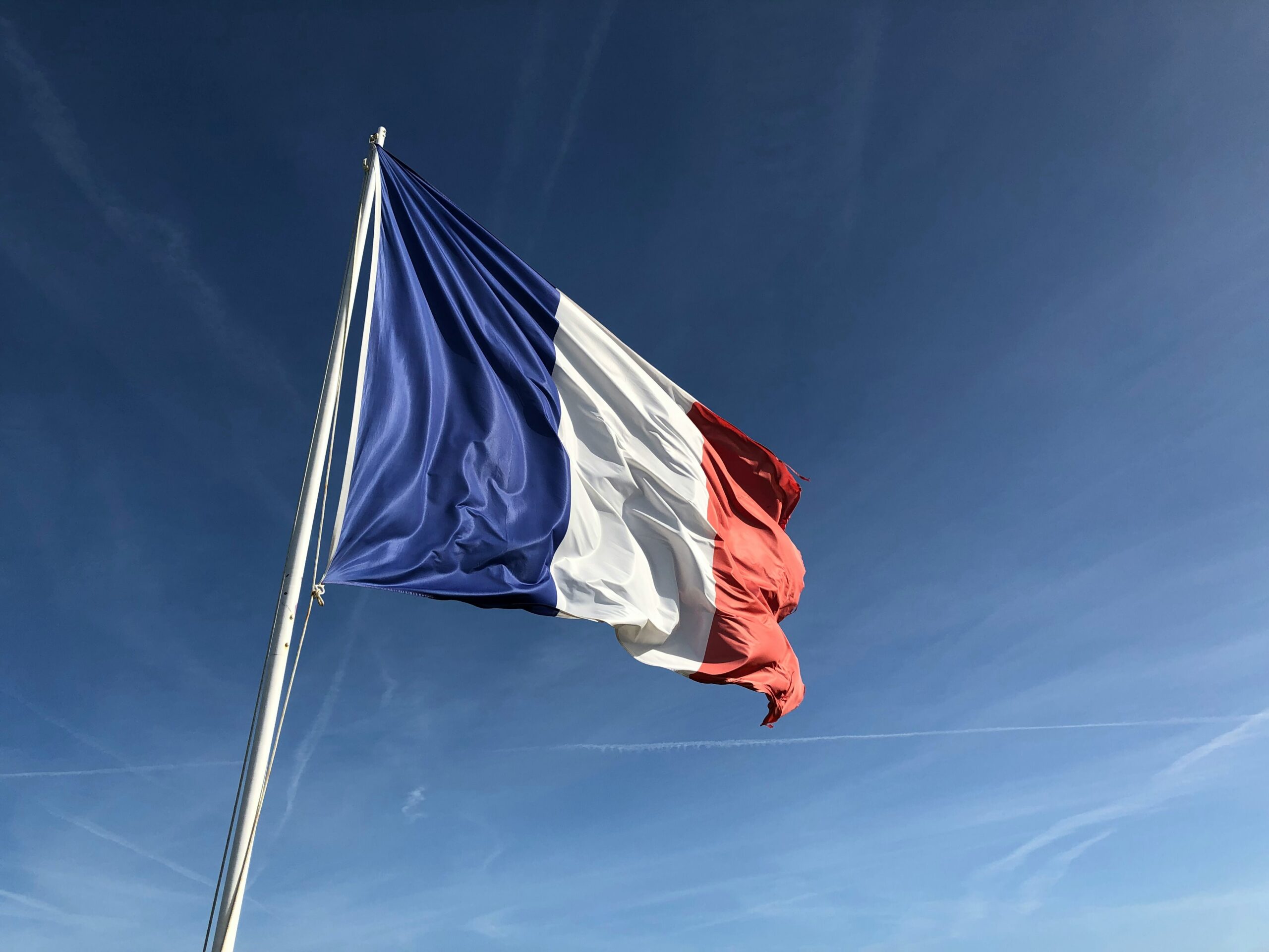 [Case Study] Local Market Entry Analysis in France